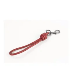 Asa De Mano Edición Limitada