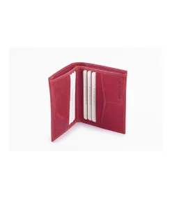 Billetero Arizona Buffalo