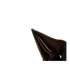 Billetero Arizona Buffalo