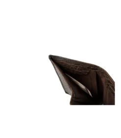 Billetero Arizona Buffalo