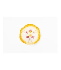 Bol Flor Pintado A Mano Diametro 12.5cm Love&home