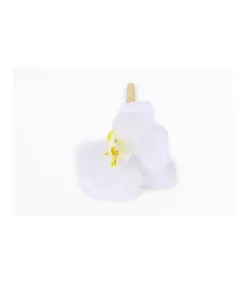 Bolígrafo Orquidea Stationary