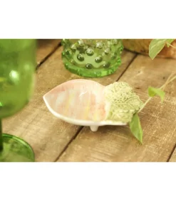 Platito Zanahoria 11x8x3.2cm Love&home