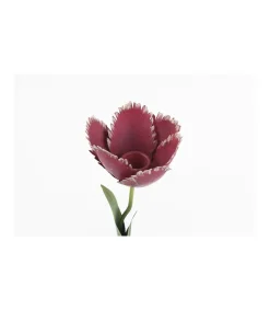 Portavelas Tulipan Alto 25cm Love&home
