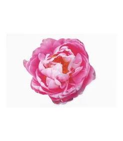 Set De 4 Salvamanteles Love&home