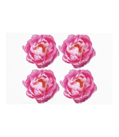 Set De 4 Salvamanteles Love&home